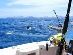 Deep Sea Fishing