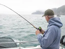Near shore